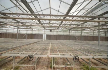 Hydroponic Glass Greenhouse