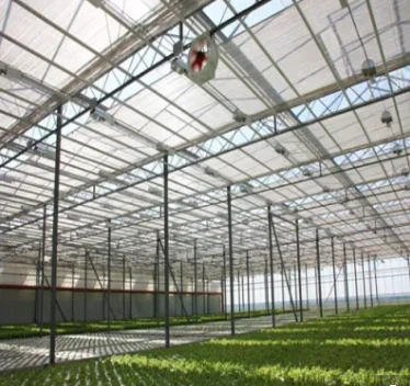 Multi Span Tunnel Greenhouses With Hydroponic System For Agriculture