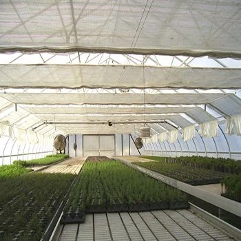 PC Greenhouses Glass Greenhouse For Vegetables Exhibition Hall Farm With Hydroponics System