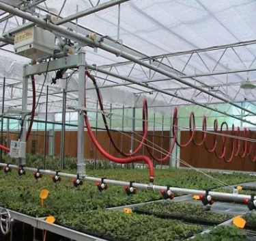 PC Greenhouses Glass Greenhouse For Vegetables Exhibition Hall Farm With Hydroponics System