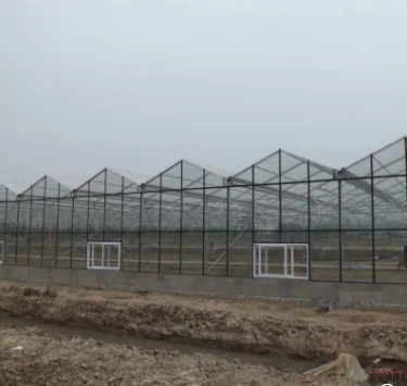 PC Greenhouses Glass Greenhouse For Vegetables Exhibition Hall Farm With Hydroponics System