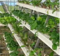 Anti UV High Quality PVC Nft Gutter Hydroponics System