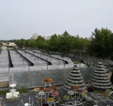 Vegetable Growing Anti-Dripping Film Greenhouse